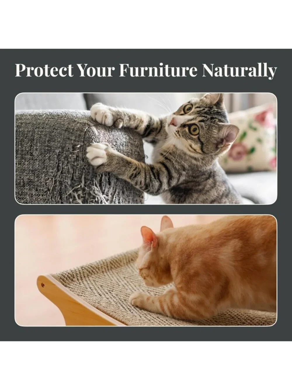XL Cat Scratcher Bed with Elevated Hammock, Replaceable Sisal Pad, Anti-Slip